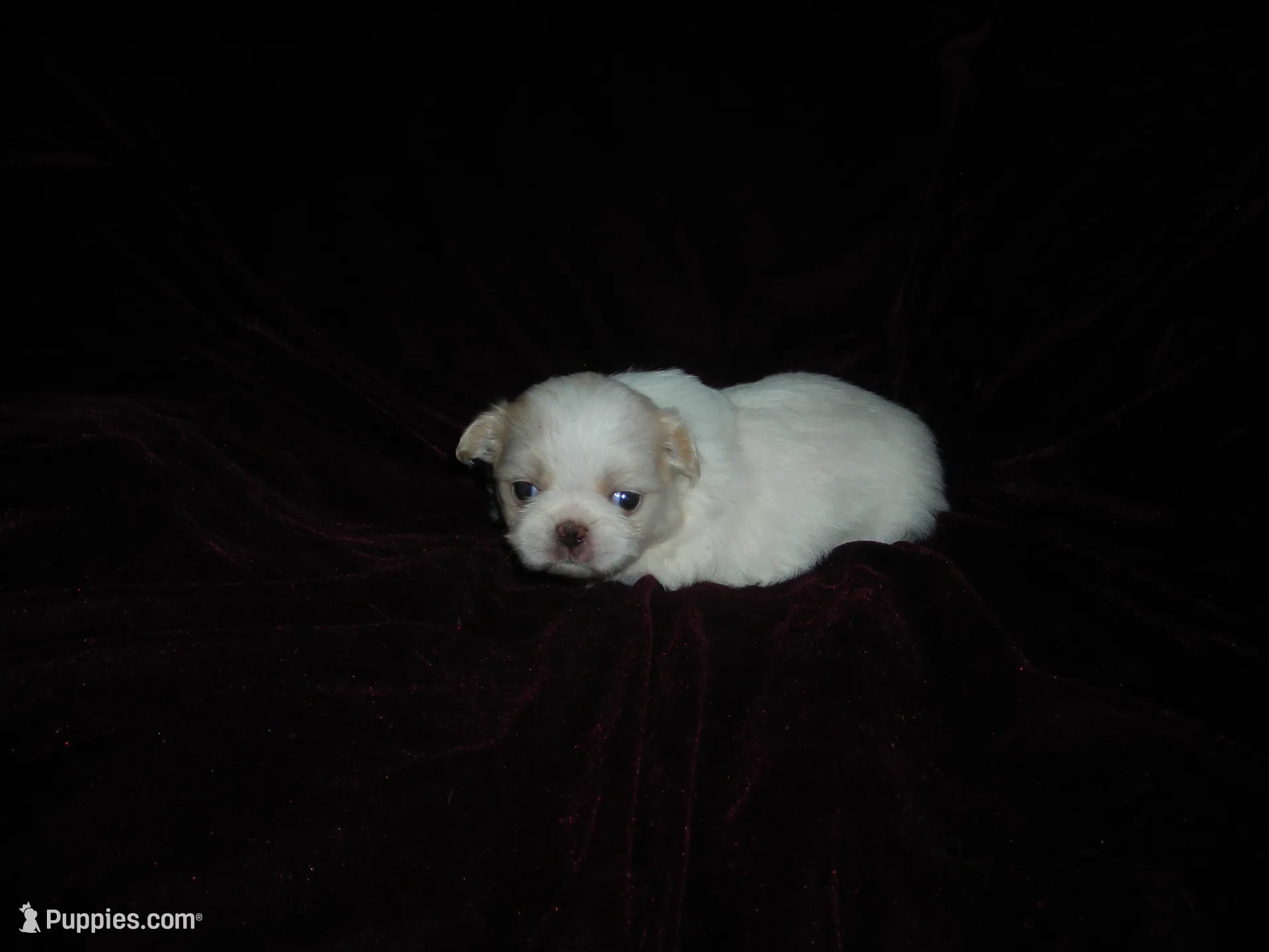 processed/394f8e93-2980-46f5-a3a1-0c68176257e4/listing/c939b190-2d02-41e1-839a-355ba2686c55/caae4a5c-7041-47fa-9295-f460e962d807