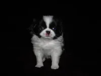 processed/394f8e93-2980-46f5-a3a1-0c68176257e4/listing/e1722a05-b207-4b4f-a0c0-c20eee81277e/1cf41c0e-5989-48d7-bfb9-29c66b4a89b3