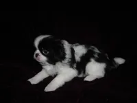 processed/394f8e93-2980-46f5-a3a1-0c68176257e4/listing/e1722a05-b207-4b4f-a0c0-c20eee81277e/24dbe31c-c8a9-4caf-b24b-9274713d2aa1