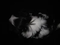 processed/394f8e93-2980-46f5-a3a1-0c68176257e4/listing/e1722a05-b207-4b4f-a0c0-c20eee81277e/4f8488aa-8a51-4c7a-ab92-6bba1bb79291