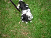 processed/394f8e93-2980-46f5-a3a1-0c68176257e4/listing/e1722a05-b207-4b4f-a0c0-c20eee81277e/751e3d78-367e-4966-b174-5e1c14df4401