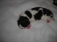 processed/394f8e93-2980-46f5-a3a1-0c68176257e4/listing/e1722a05-b207-4b4f-a0c0-c20eee81277e/8b6b3650-eb0b-448b-9ee5-984f73d8a89e