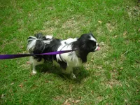 processed/394f8e93-2980-46f5-a3a1-0c68176257e4/listing/e1722a05-b207-4b4f-a0c0-c20eee81277e/bbb6a0b2-4c09-442b-8f85-94131dbf0d32