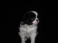 processed/394f8e93-2980-46f5-a3a1-0c68176257e4/listing/e1722a05-b207-4b4f-a0c0-c20eee81277e/e72a5f7d-9795-4963-9802-1460060ac52c