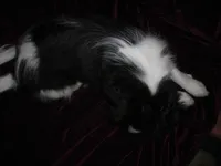 processed/394f8e93-2980-46f5-a3a1-0c68176257e4/listing/fb876df8-b776-4a72-be34-11c1264dceec/2b31a4a6-da9e-4722-9e96-a13eafe1233a