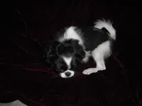 processed/394f8e93-2980-46f5-a3a1-0c68176257e4/listing/fb876df8-b776-4a72-be34-11c1264dceec/7b31fef4-afea-42ed-b81b-ece2b0132b3c