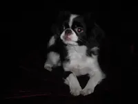 processed/394f8e93-2980-46f5-a3a1-0c68176257e4/listing/fb876df8-b776-4a72-be34-11c1264dceec/ea255e71-4711-4c7b-a7a8-804e85cd3d64