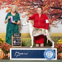 processed/394fd8fa-f505-459e-91f5-544d0137ee5c/facility/0e950600-0fd1-4fe9-80ec-55a546b4a85d