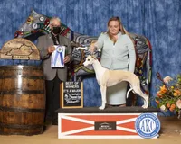 processed/394fd8fa-f505-459e-91f5-544d0137ee5c/facility/fcf093f1-a98d-4488-a87c-cc36277ea12f