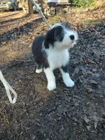 processed/394fd8fa-f505-459e-91f5-544d0137ee5c/listing/19ae89bc-18da-412d-bcd1-3f2d0a3c02c7/636b224f-339c-4ef4-86f2-d8f2e25d64ee