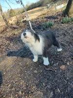 processed/394fd8fa-f505-459e-91f5-544d0137ee5c/listing/19ae89bc-18da-412d-bcd1-3f2d0a3c02c7/7e717b21-8933-46f0-829a-2b55ea725704