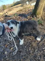 processed/394fd8fa-f505-459e-91f5-544d0137ee5c/listing/19ae89bc-18da-412d-bcd1-3f2d0a3c02c7/7ebc9784-d60a-47f8-acfc-be919a2eb414