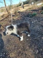 processed/394fd8fa-f505-459e-91f5-544d0137ee5c/listing/19ae89bc-18da-412d-bcd1-3f2d0a3c02c7/83d9a836-2773-4277-9054-05a7c9af4811