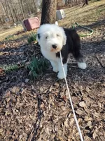 processed/394fd8fa-f505-459e-91f5-544d0137ee5c/listing/85b0db24-205f-436e-b1eb-d30e28619f8a/b61eb0b4-f3c5-4e47-ace1-56e0cde93d45