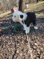 processed/394fd8fa-f505-459e-91f5-544d0137ee5c/listing/85b0db24-205f-436e-b1eb-d30e28619f8a/ebc4a09d-2476-4ee2-a660-4e997b6b7bd6