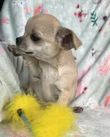 processed/395628fd-8053-4ed0-831d-6f810846b8c2/listing/d3b3d729-5e58-473a-ae2e-c52dc2042d50/15ed7b87-8464-482d-82b4-7382100926e1