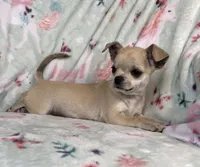 processed/395628fd-8053-4ed0-831d-6f810846b8c2/listing/d3b3d729-5e58-473a-ae2e-c52dc2042d50/3cb4062b-994a-48d4-83b6-efe7ec40a350