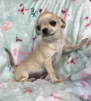 processed/395628fd-8053-4ed0-831d-6f810846b8c2/listing/d3b3d729-5e58-473a-ae2e-c52dc2042d50/610c4b3c-3773-4fe2-ab70-cc5b9d770707