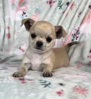 processed/395628fd-8053-4ed0-831d-6f810846b8c2/listing/d3b3d729-5e58-473a-ae2e-c52dc2042d50/92b32202-61a6-49bb-b852-ce5ce868db42