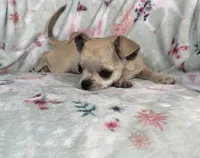 processed/395628fd-8053-4ed0-831d-6f810846b8c2/listing/d3b3d729-5e58-473a-ae2e-c52dc2042d50/b2b3c7b5-9599-4a9a-981b-0d98b73c2087