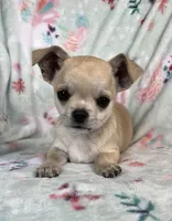 processed/395628fd-8053-4ed0-831d-6f810846b8c2/listing/d3b3d729-5e58-473a-ae2e-c52dc2042d50/c09d18a6-5216-447f-8917-b456e7bf75b4