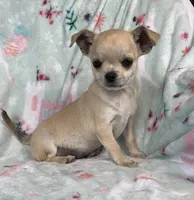 processed/395628fd-8053-4ed0-831d-6f810846b8c2/listing/d3b3d729-5e58-473a-ae2e-c52dc2042d50/e7c994cd-c894-4940-9047-2687837416da