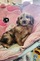 processed/3964018e-43cd-48cd-a10b-456831a7a934/facility/84eb8bca-7306-4af4-b84d-28519c7c49ea