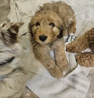 processed/3964018e-43cd-48cd-a10b-456831a7a934/facility/904e5e0e-deb6-4ba1-854d-917c4b065b44