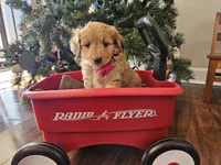 processed/3964018e-43cd-48cd-a10b-456831a7a934/facility/f2483536-07c4-463f-b8ad-17e69fed6269