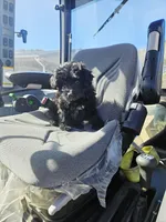 processed/3964018e-43cd-48cd-a10b-456831a7a934/listing/00f6c6e7-c626-421d-9e46-3e822ed7272e/1ec8601d-5f14-484c-8071-687c51b378dd