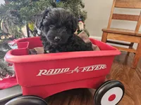 processed/3964018e-43cd-48cd-a10b-456831a7a934/listing/00f6c6e7-c626-421d-9e46-3e822ed7272e/6995b841-d72b-4482-a468-789949e1bf55