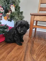 processed/3964018e-43cd-48cd-a10b-456831a7a934/listing/00f6c6e7-c626-421d-9e46-3e822ed7272e/c0fa26f5-3f21-46e6-aeac-926d8ac8a926