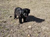 processed/3964018e-43cd-48cd-a10b-456831a7a934/listing/00f6c6e7-c626-421d-9e46-3e822ed7272e/f251cb36-98c4-4510-8b5c-3994a62a76f7