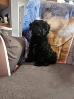 processed/3964018e-43cd-48cd-a10b-456831a7a934/listing/03283354-a16a-4c5b-a5cf-1042c9ade9d2/2ea4ddd7-9533-4ea7-b0a9-1b677fe13f8c