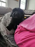 processed/3964018e-43cd-48cd-a10b-456831a7a934/listing/03283354-a16a-4c5b-a5cf-1042c9ade9d2/6ac5fed8-c8d3-4afd-8049-606a7beaaf9c