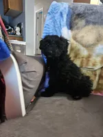 processed/3964018e-43cd-48cd-a10b-456831a7a934/listing/03283354-a16a-4c5b-a5cf-1042c9ade9d2/6dd38276-a8df-42e5-b411-65e0b9c3f71e