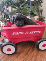 processed/3964018e-43cd-48cd-a10b-456831a7a934/listing/03283354-a16a-4c5b-a5cf-1042c9ade9d2/b5b2468a-0056-4172-95a1-84d11ac5d39b