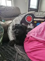 processed/3964018e-43cd-48cd-a10b-456831a7a934/listing/03283354-a16a-4c5b-a5cf-1042c9ade9d2/d6a9802c-e60c-4129-a2c0-39432d2de618