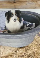 processed/3964018e-43cd-48cd-a10b-456831a7a934/listing/61681bc0-fffd-47bc-ac06-9646b7c5a605/d2221a54-8edd-407b-b467-f9b3ff26b39e