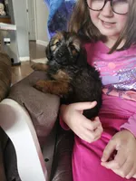 processed/3964018e-43cd-48cd-a10b-456831a7a934/listing/61681bc0-fffd-47bc-ac06-9646b7c5a605/d75ddddc-ed28-4d10-b84a-95cd6e38916f