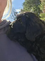 processed/3964018e-43cd-48cd-a10b-456831a7a934/listing/7779e954-89b7-40d7-82b7-10565a76fd8d/123e3345-7b3a-401e-800b-2d96f9e0f073