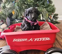 processed/3964018e-43cd-48cd-a10b-456831a7a934/listing/7779e954-89b7-40d7-82b7-10565a76fd8d/d252749a-d24d-41f7-bb59-09c48c14e134