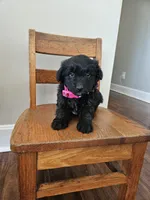 processed/3964018e-43cd-48cd-a10b-456831a7a934/listing/7779e954-89b7-40d7-82b7-10565a76fd8d/e5819e71-693a-45db-926a-f66dcc8983a7