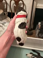 Red Collar Female , a female Wirehaired Pointing Griffon for sale in Okmulgee, OK – 2 of 2