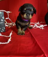 processed/396d717a-4959-45b4-955a-77dabea38d16/listing/02ce9330-e474-46fb-8e37-7d97d263cf80/70852f84-4a8d-4970-8f27-c4cf6841c0fc