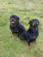 processed/396d717a-4959-45b4-955a-77dabea38d16/listing/02ce9330-e474-46fb-8e37-7d97d263cf80/93275aa5-c3f1-40f7-806d-dbbd2bc9b3f0