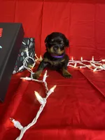 processed/396d717a-4959-45b4-955a-77dabea38d16/listing/02ce9330-e474-46fb-8e37-7d97d263cf80/dedabb63-5e18-4a3c-8f77-fa9e87df4b26