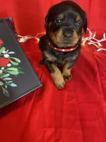 processed/396d717a-4959-45b4-955a-77dabea38d16/listing/0c852c68-6eba-413e-a342-4ee3bade670b/05f6fcbd-5b3b-44af-9f39-02b842c57c1b