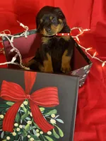 processed/396d717a-4959-45b4-955a-77dabea38d16/listing/0c852c68-6eba-413e-a342-4ee3bade670b/192fa627-e0d7-404c-85dc-d38a55255cf9