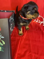 processed/396d717a-4959-45b4-955a-77dabea38d16/listing/0c852c68-6eba-413e-a342-4ee3bade670b/7147d00b-d32d-4401-bd6b-120bfe768854